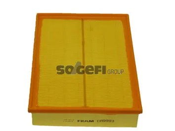 Filtre à air FRAM CA9993