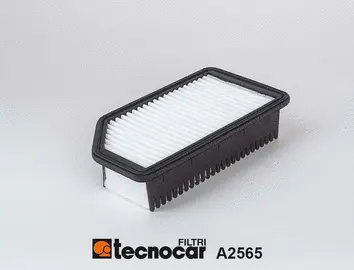 Filtre à air TECNOCAR A2565