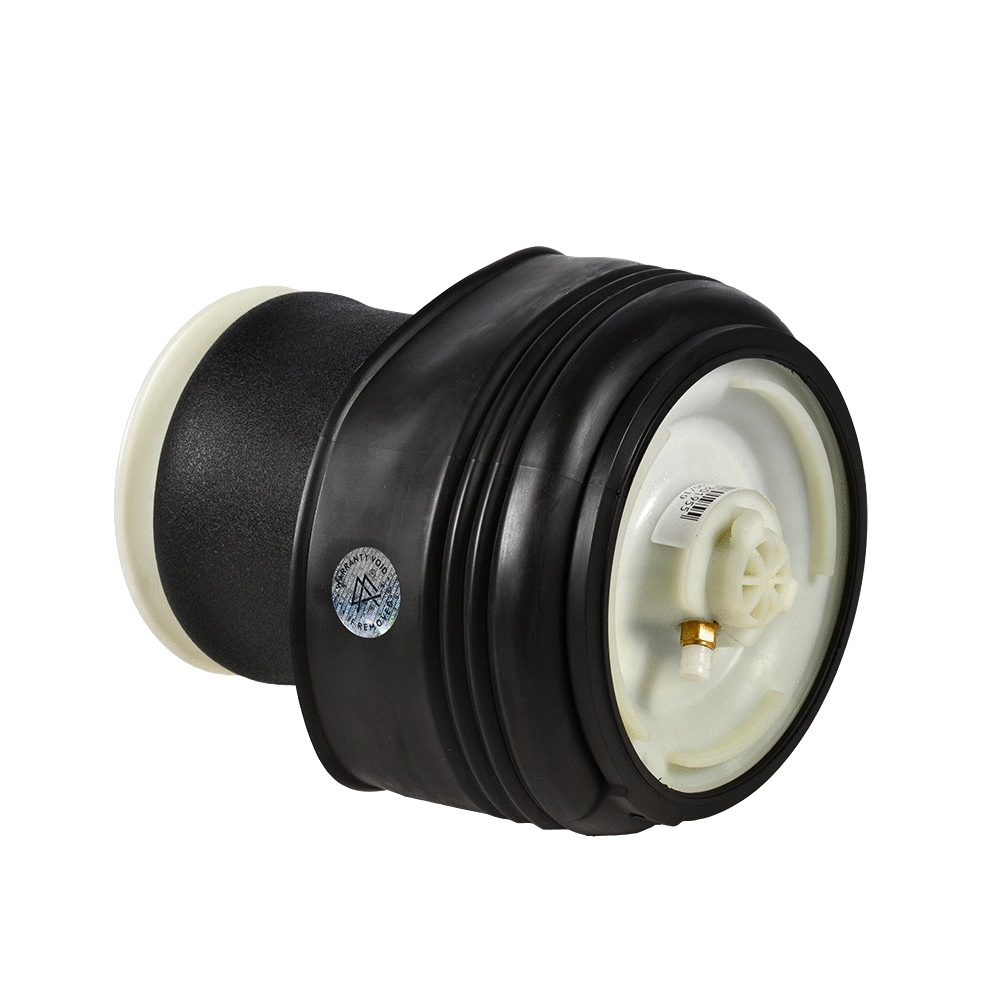Ressort pneumatique, châssis Miessler Automotive 1110-01-0080