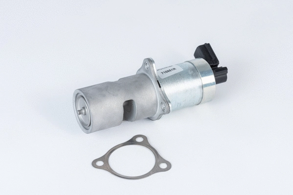 Vanne EGR BorgWarner 710951R