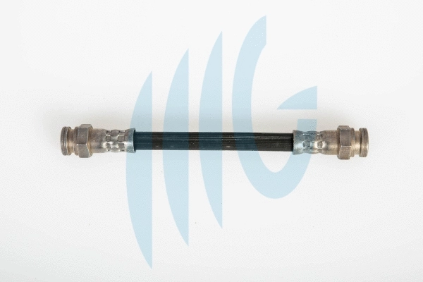 Flexible de frein RICAMBIFLEX GM 02020090