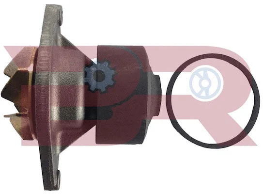 Pompe à eau, refroidissement du moteur BOTTO RICAMBI BRAC2854