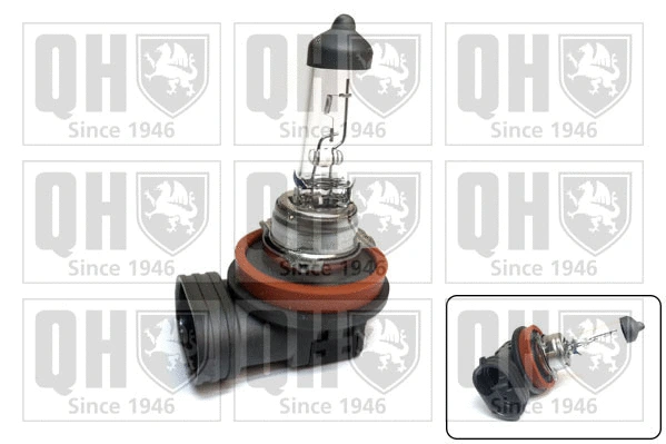 Ampoule, projecteur antibrouillard QUINTON HAZELL QBL716