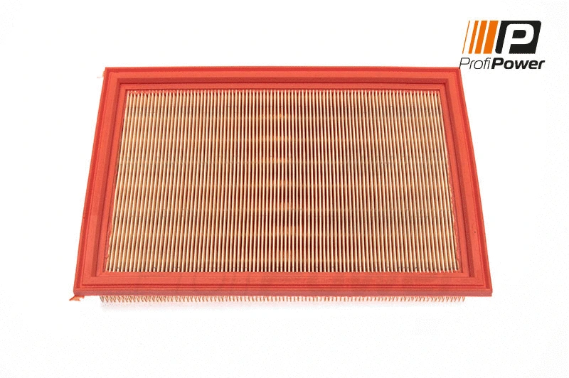 Filtre à air ProfiPower 2F0042
