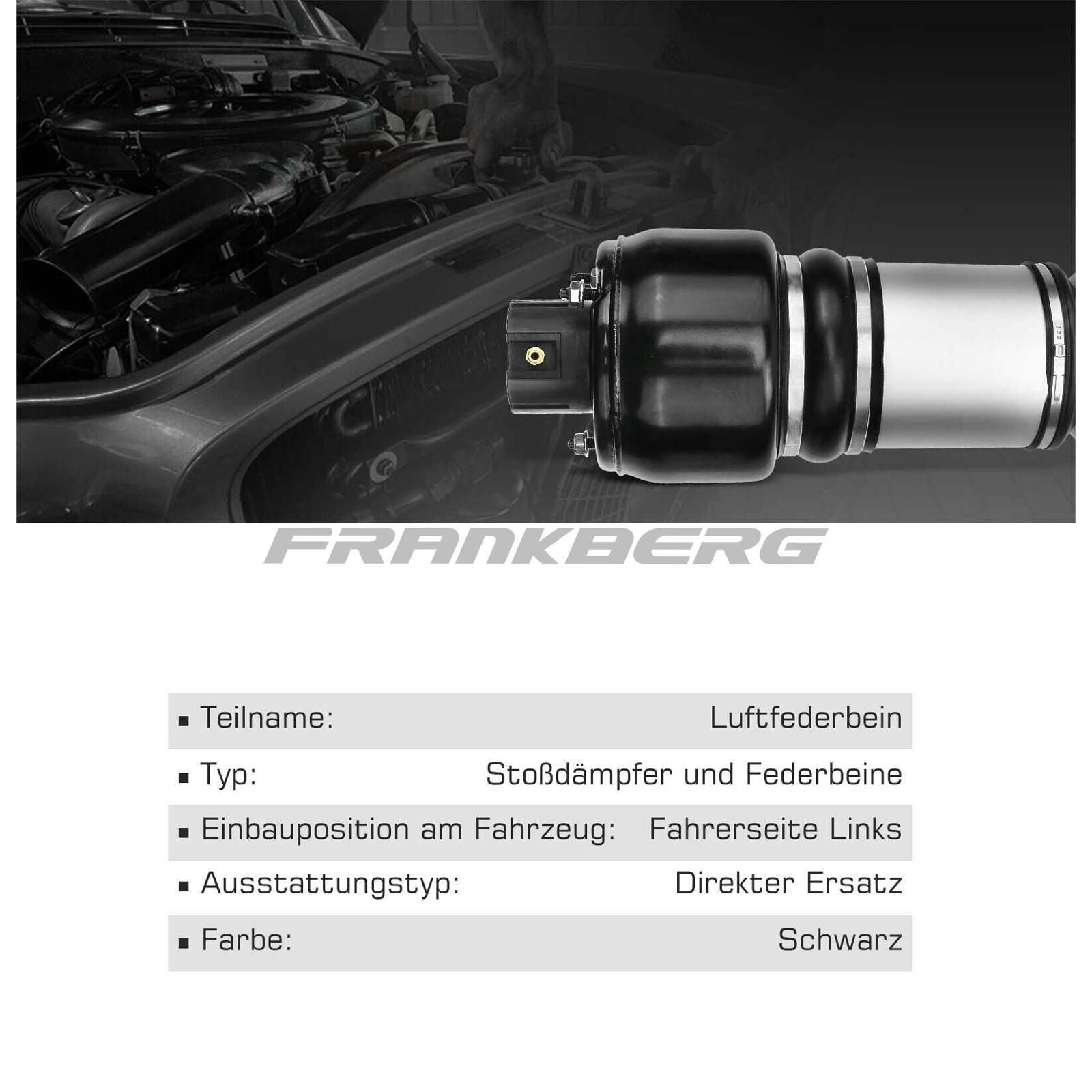 Armortisseur pneumatique Frankberg 5481FB0002287