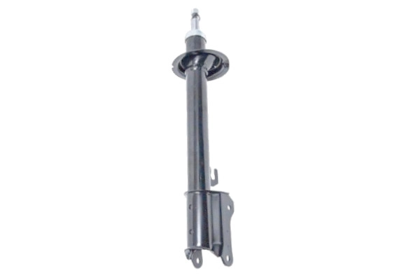 Amortisseur GOOM F220G1591