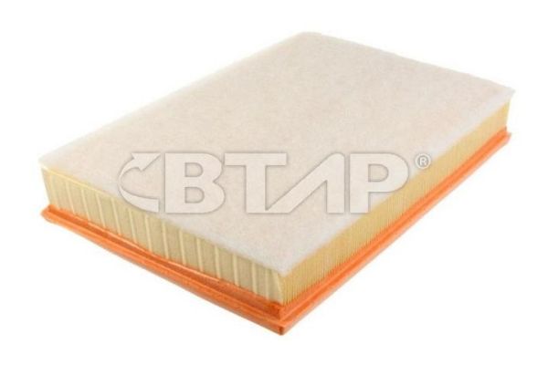 Filtre à air BTAP BVE301-031