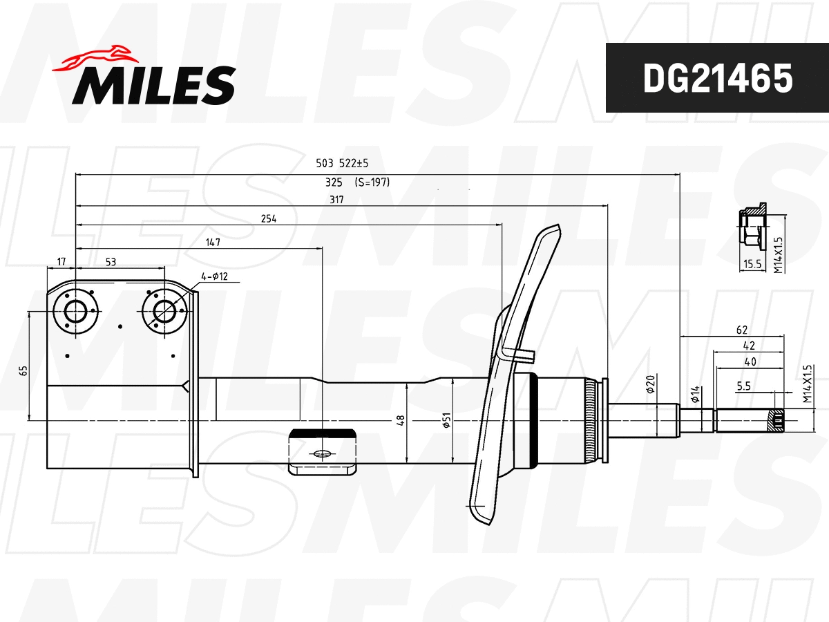 Amortisseur MILES DG21465