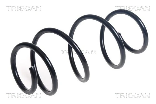 Ressort de suspension TRISCAN 8750 24211