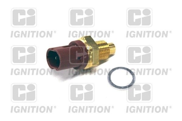 Sonde, température du liquide de refroidissement QUINTON HAZELL XTTS211