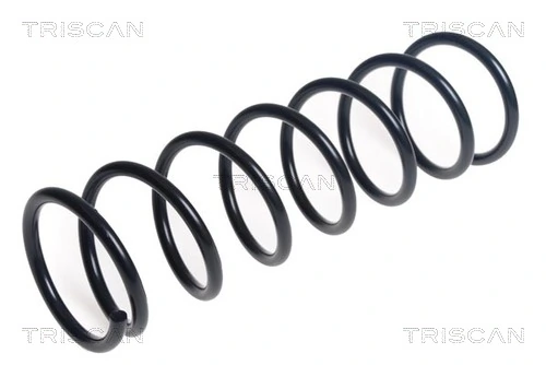 Ressort de suspension TRISCAN 8750 14137