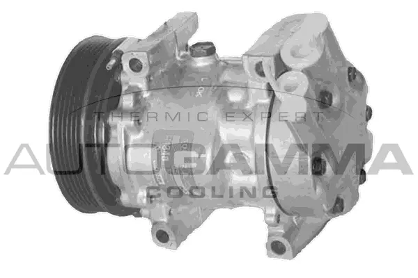 Compresseur, climatisation AUTOGAMMA 108015