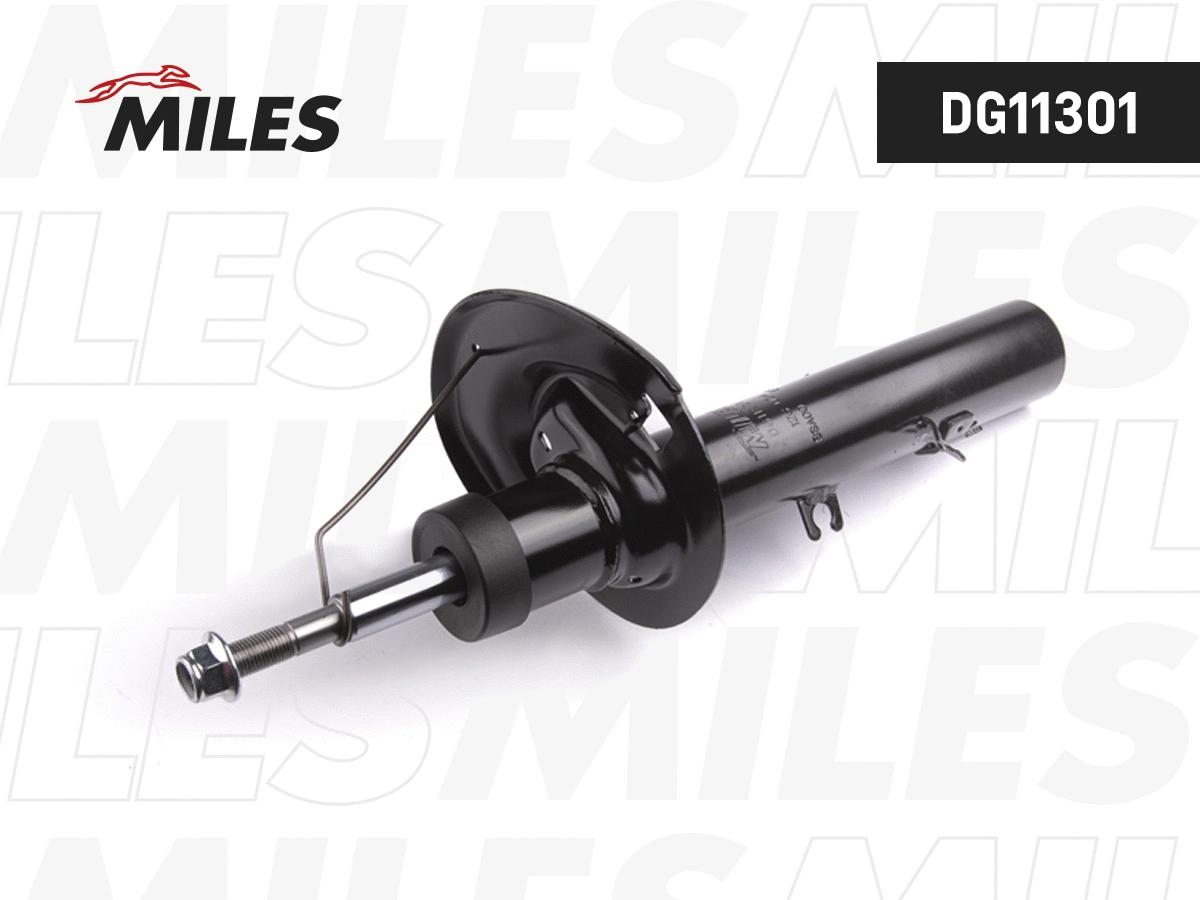 Amortisseur MILES DG11301