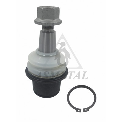 Rotule de suspension ASMETAL 10LR1910