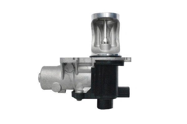 Vanne EGR ASAM AUTOMOTIVE 74207