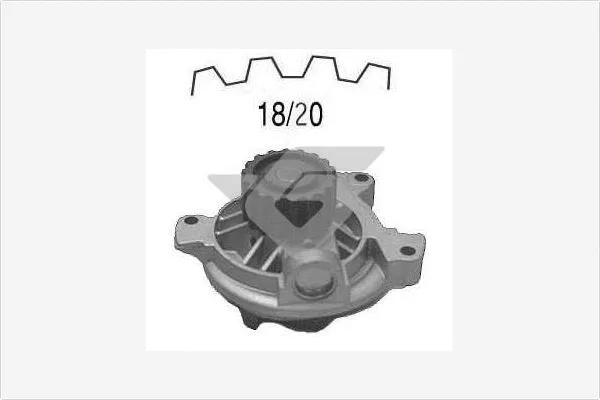 Pompe à eau, refroidissement du moteur HUTCHINSON WP0061V
