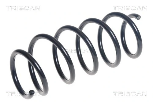 Ressort de suspension TRISCAN 8750 16125