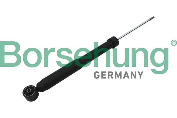 Amortisseur Borsehung B17895