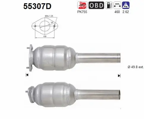 Catalyseur AS 55307D