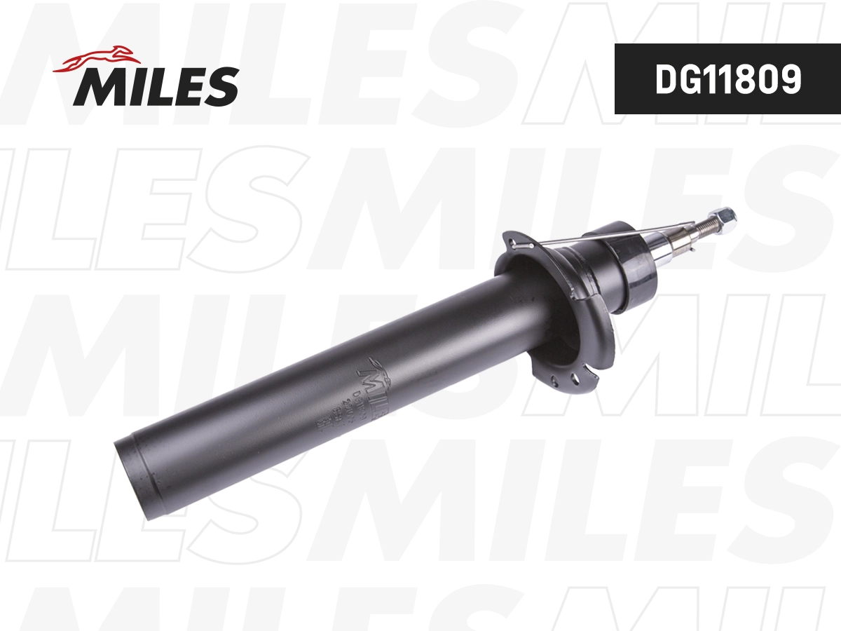 Amortisseur MILES DG11809