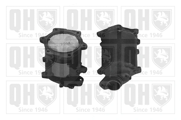 Catalyseur QUINTON HAZELL QCAT91259H