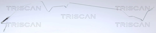 Flexible de frein TRISCAN 8150 25231