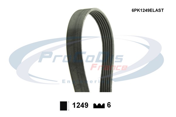 Courroie trapézoïdale à nervures PROCODIS FRANCE 6PK1249ELAST