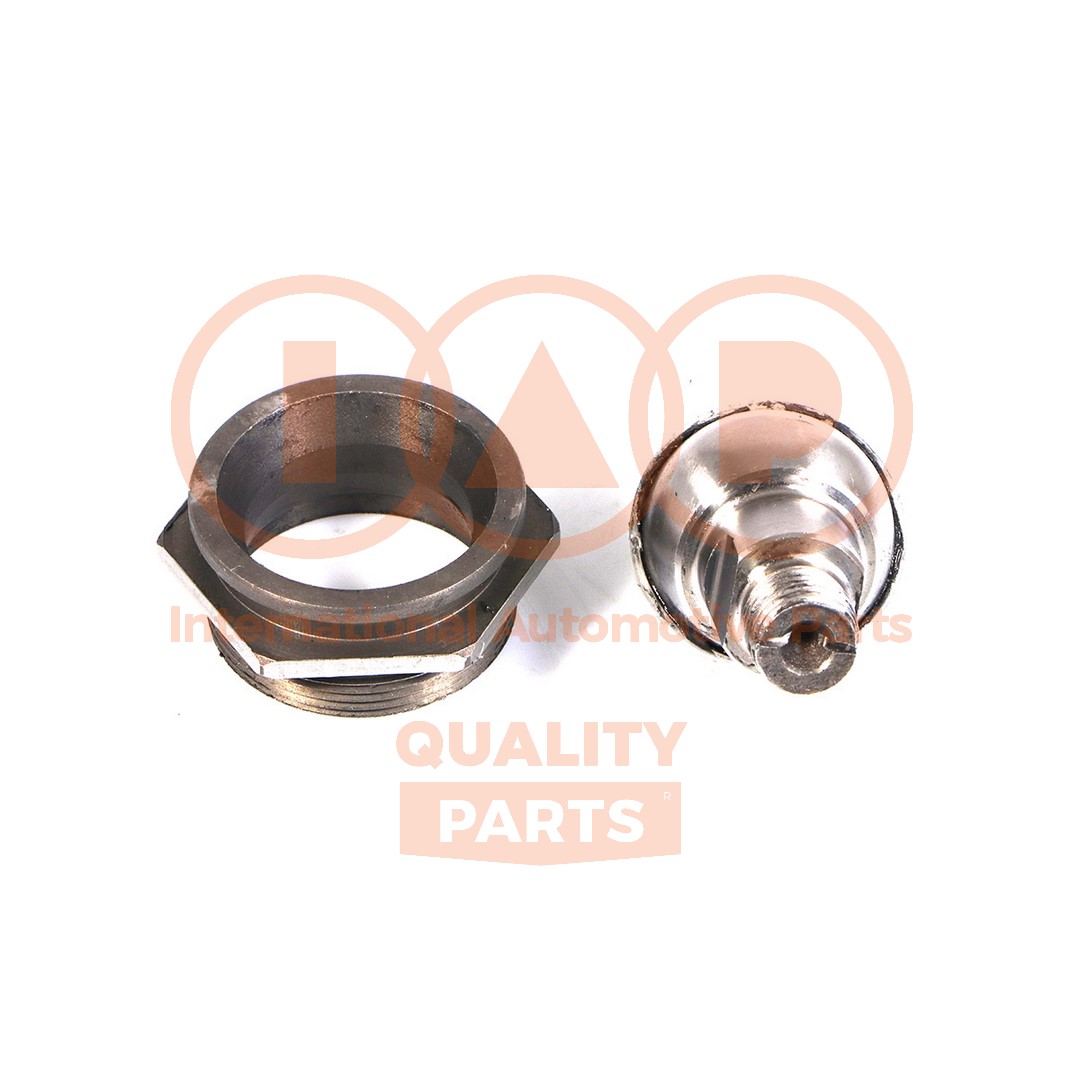 Rotule de suspension IAP QUALITY PARTS 506-14030