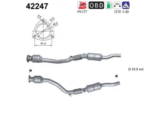 Catalyseur AS 42247