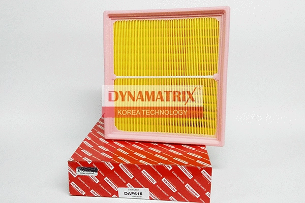 Filtre à air DYNAMATRIX DAF615