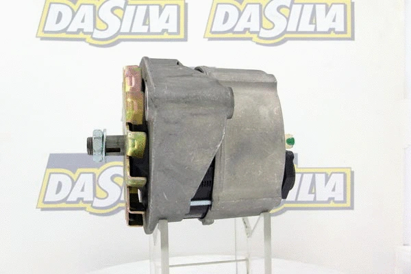 Alternateur DA SILVA 010950