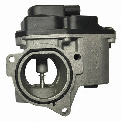 Vanne EGR TURBORAIL TR00601