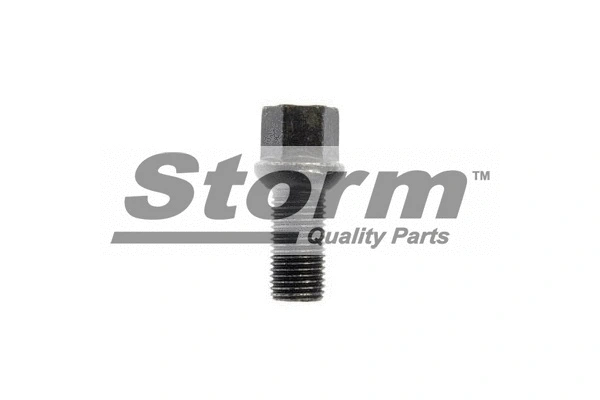 Vis de roue STORM QUALITY PARTS F2639