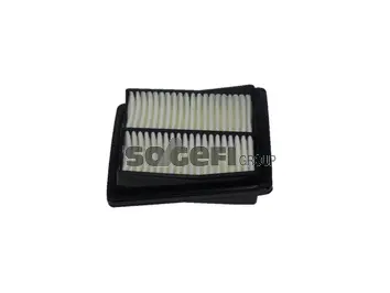 Filtre à air FRAM CA10233
