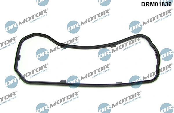 Joint, carter d'huile LIZARTE DRM01836