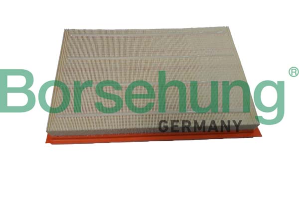 Filtre à air Borsehung B12395