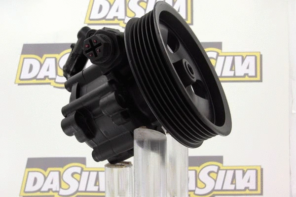 Pompe hydraulique, direction DA SILVA DP3074