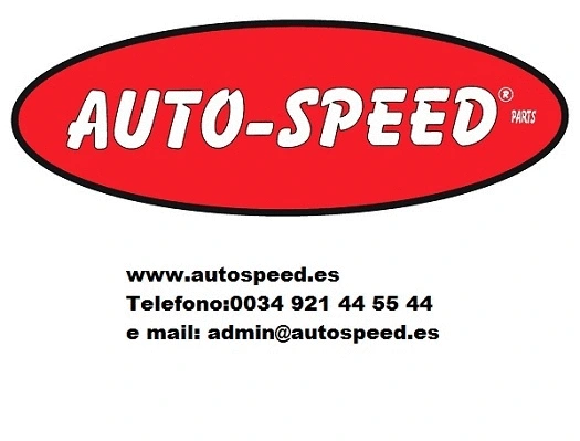 Pompe hydraulique, correcteur d'assiette AUTO-SPEED PARTS 315ST00118