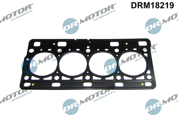 Joint, culasse LIZARTE DRM18219