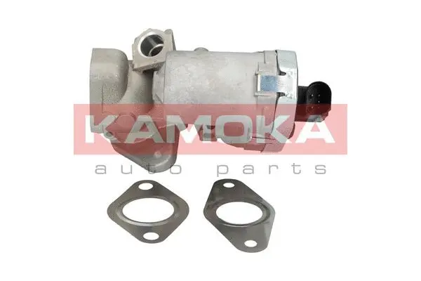 Vanne EGR KAMOKA 19030