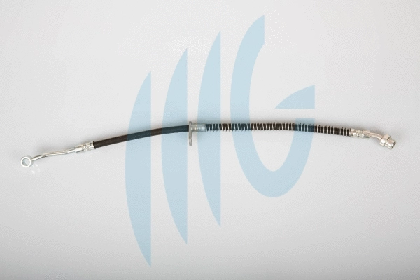 Flexible de frein RICAMBIFLEX GM 02160886