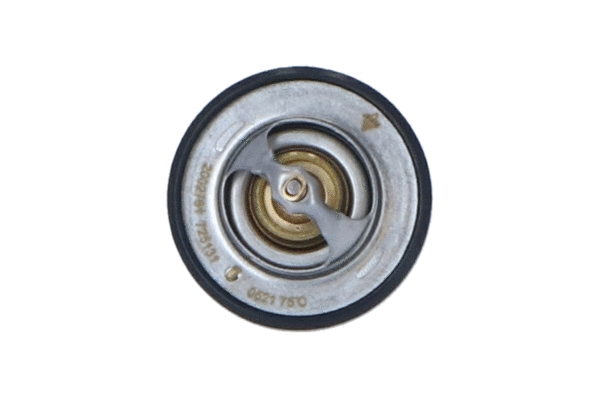Thermostat, liquide de refroidissement WILMINK GROUP WG2184750