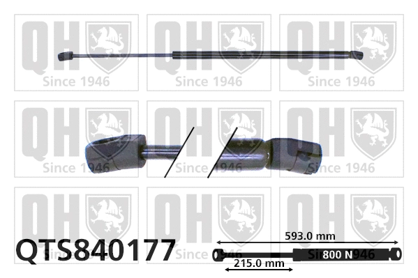 Vérin de hayon, de coffre QUINTON HAZELL QTS840177