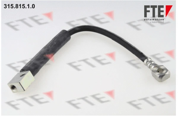 Flexible de frein FTE 9240478
