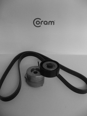 Jeu de courroies trapézoïdales à nervures CORAM KTC1003.80
