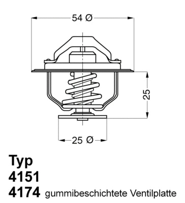 Thermostat, liquide de refroidissement BorgWarner (Wahler) 4174.79D