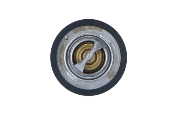 Thermostat, liquide de refroidissement WILMINK GROUP WG2184745