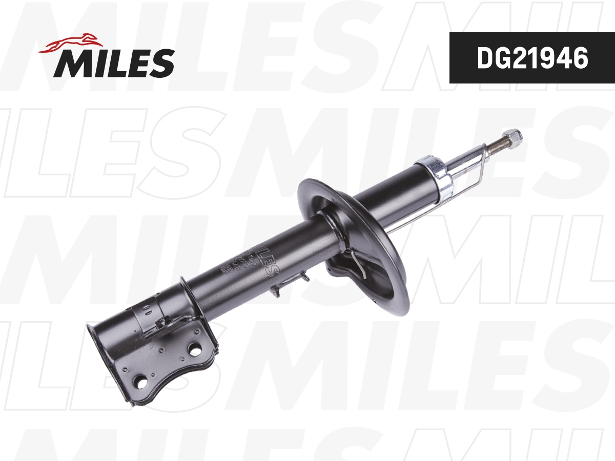 Amortisseur MILES DG21946