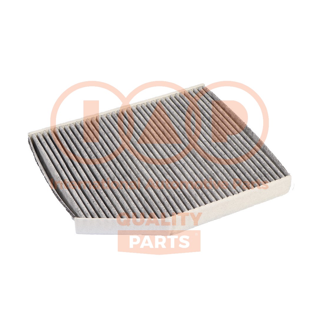Filtre, air de l'habitacle IAP QUALITY PARTS 821-04051C
