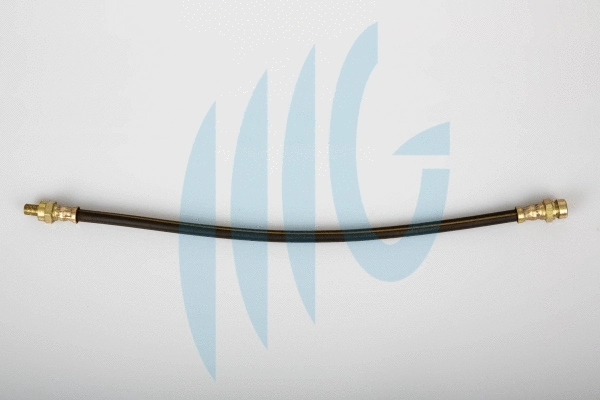 Flexible de frein RICAMBIFLEX GM 02440552
